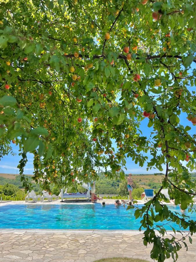 Hotel Hilltop Borbirtok&Étterem Neszmély Esterno foto